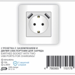 Earthed socket with two USB for charging