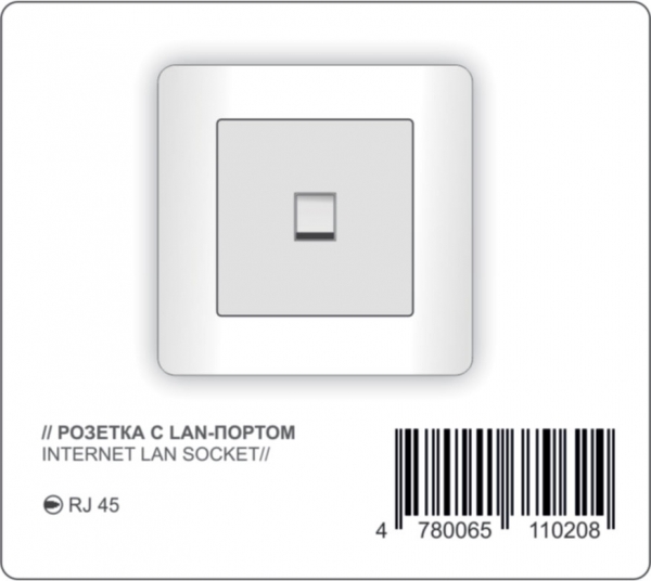 Internet LAN socket