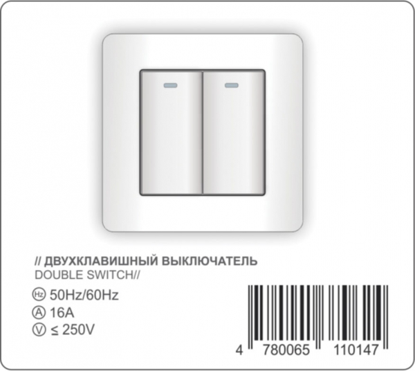 Double switch